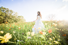 「Wedding cosmos」3