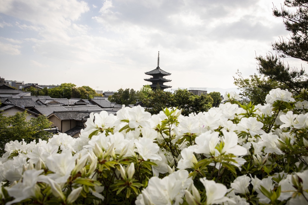 「八坂の塔」