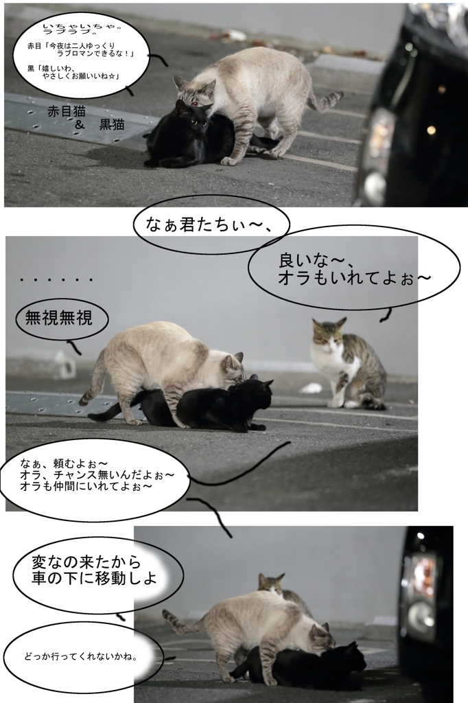 猫物語-2話-P6