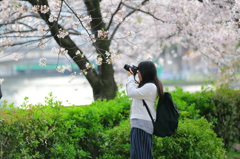 春桜カメラ女子