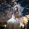 「桜月光」