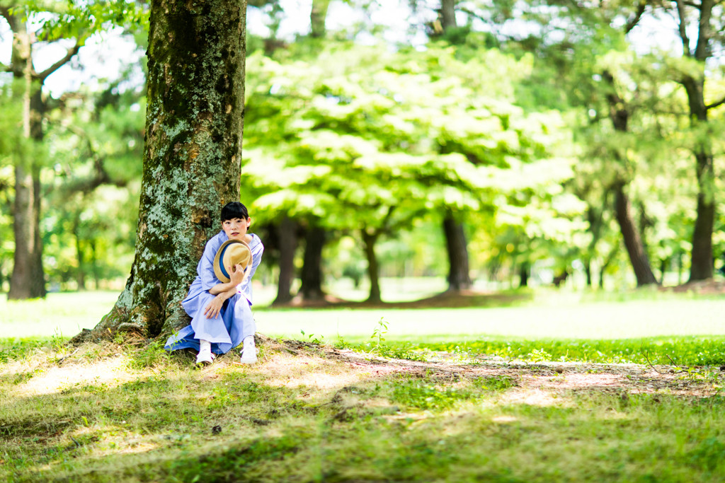 「木」(135mm VS 85mm 比較　(85mm)