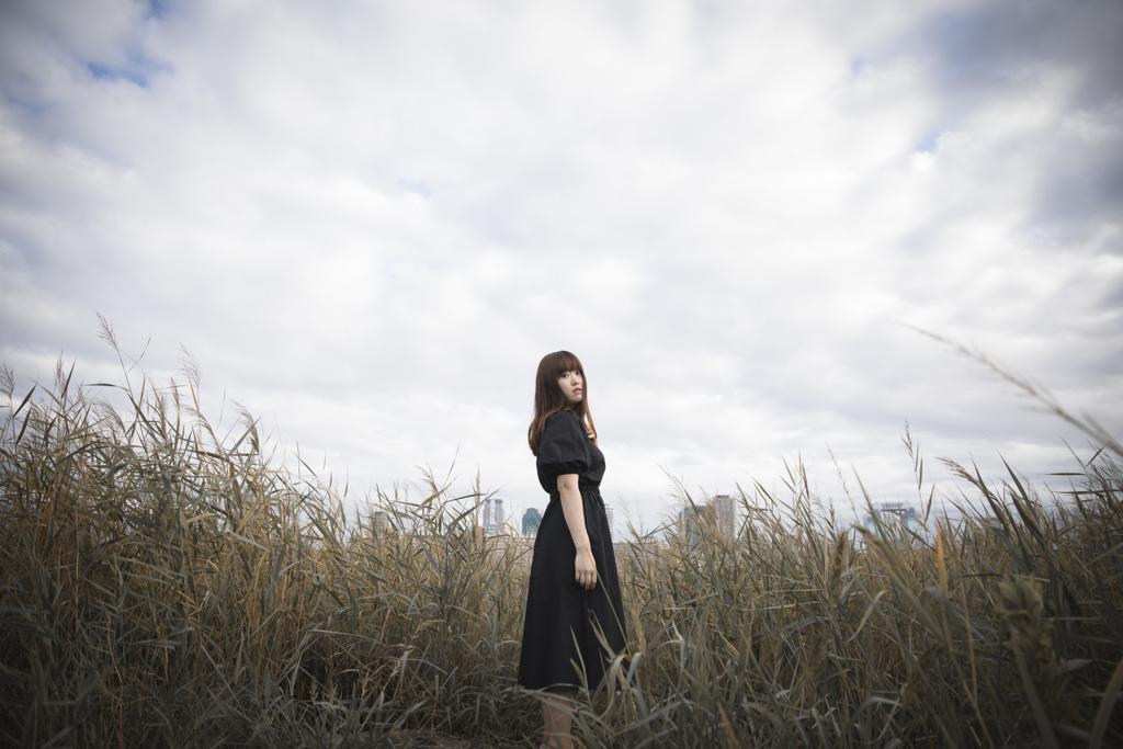 「Grassland world」4