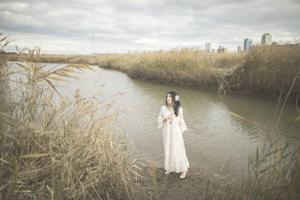 「World in the wind」