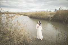 「World in the wind」