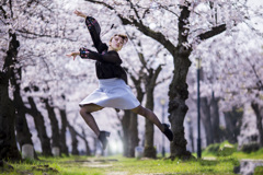 「Sakura Dancing」