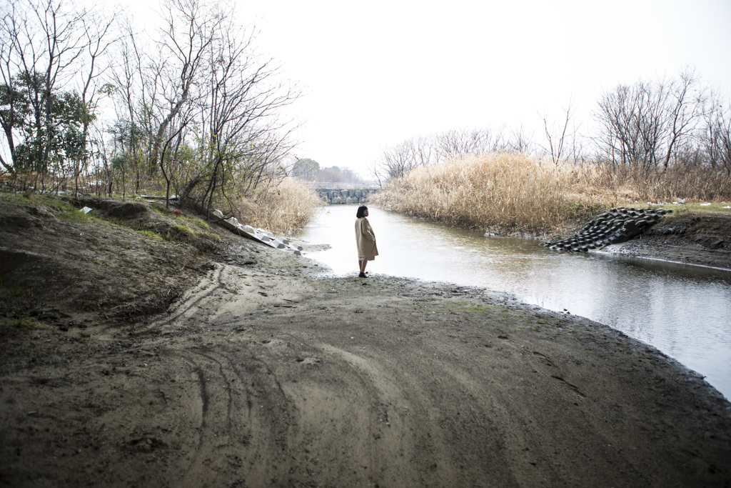 「Swamp」