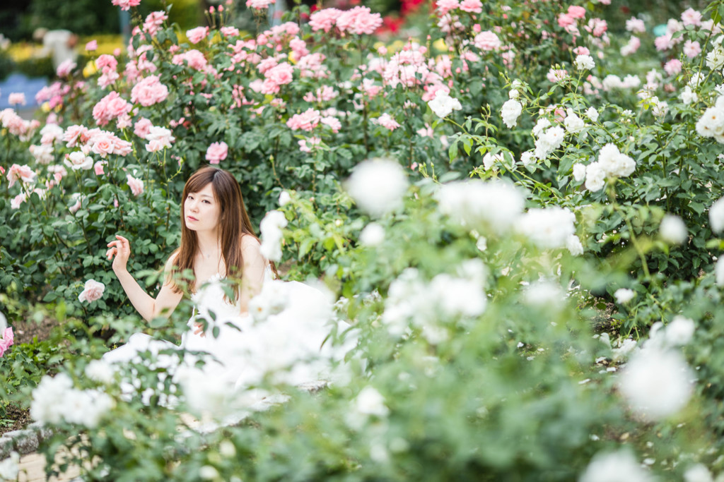 「5D IV」 vs 「6D」    (5D VI 撮影)