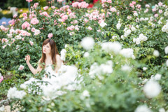「5D IV」 vs 「6D」    (5D VI 撮影)