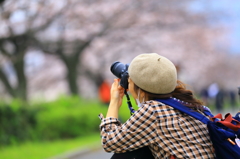 桜 カメラ女子