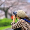 桜 カメラ女子
