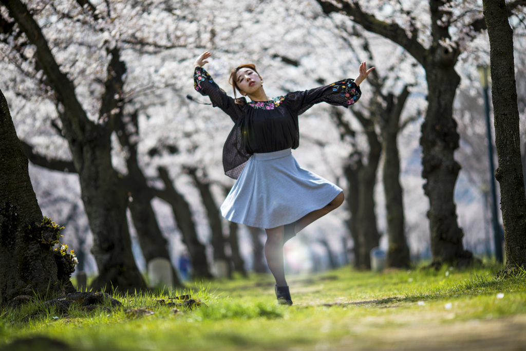 「舞う桜の花びらのように」