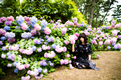「涼しそうな花」2