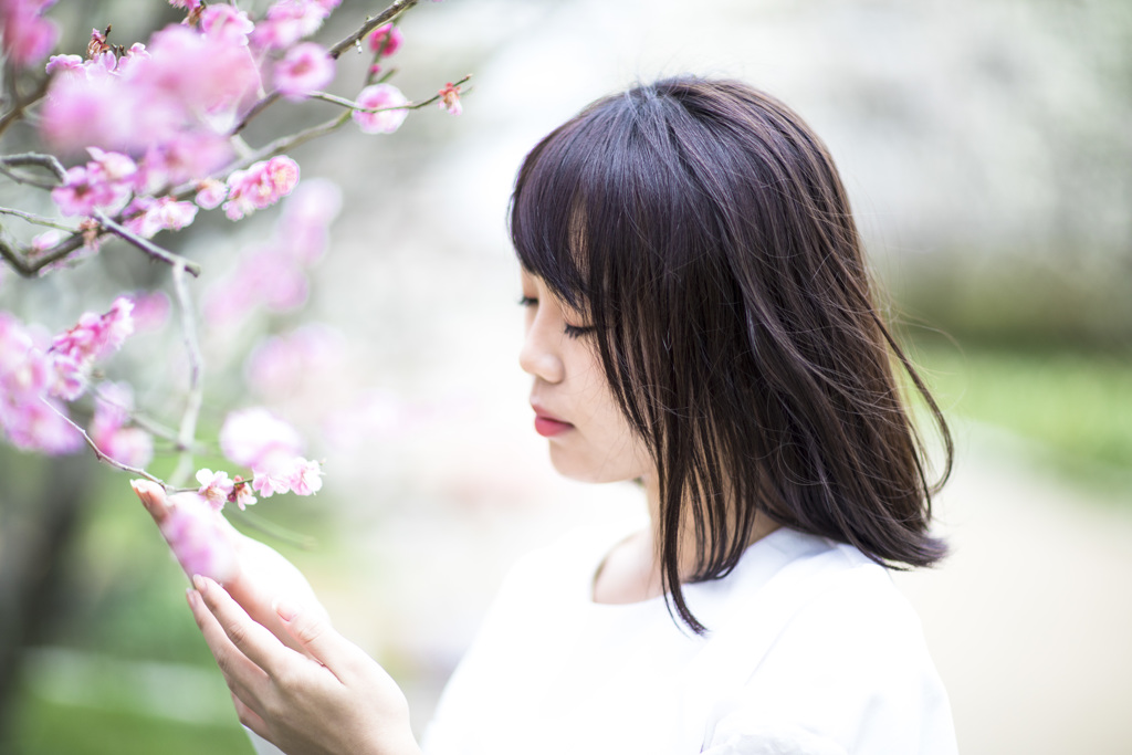 「梅になりたいの」