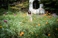 「Church Cosmos ～教会に咲く花～」