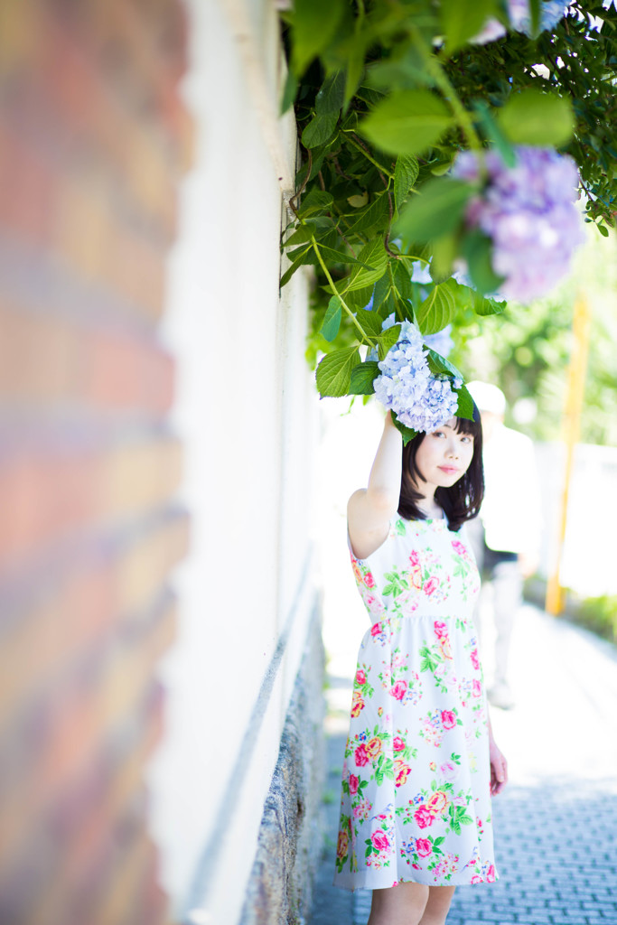 紫陽花 〜kitano world