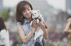 無表情の犬