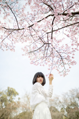 「桜の花」
