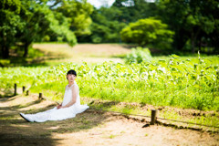 「遅咲きのひまわり」