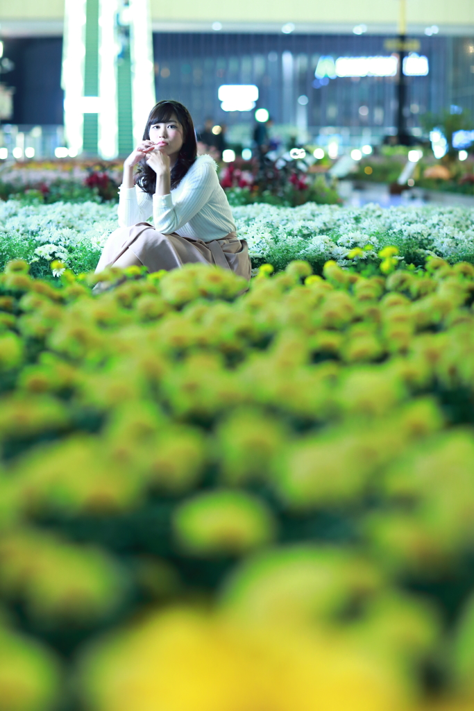 field of flowers