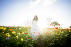 「Wedding cosmos」4