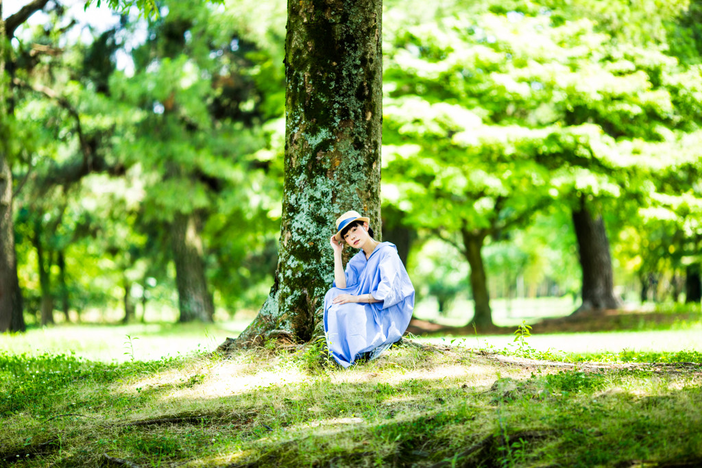 「木」(135mm VS 85mm 比較　(135mm)