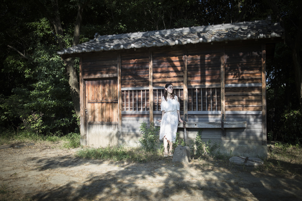 「夏の太陽」