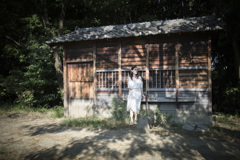 「夏の太陽」
