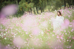 「Sweet Cosmos」2