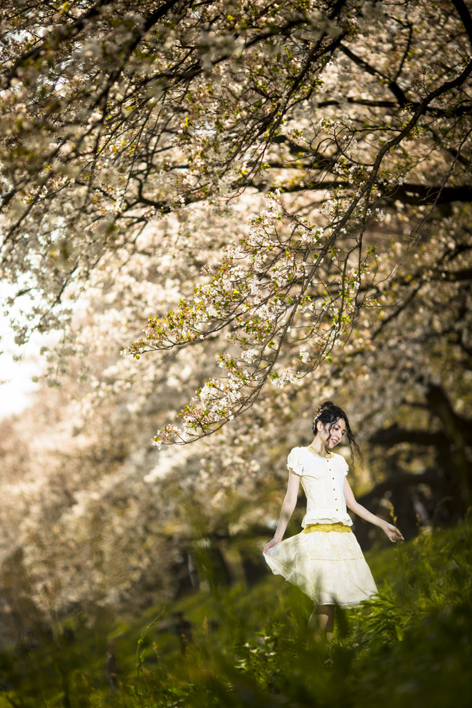 「Never Ending Sakura」