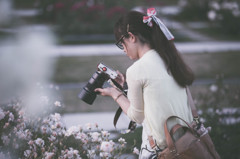 花を撮ろう