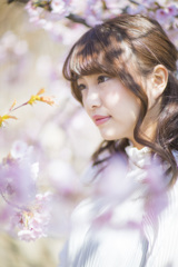 「love Sakura」