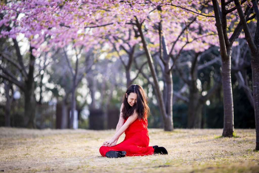 「今年の春桜」2