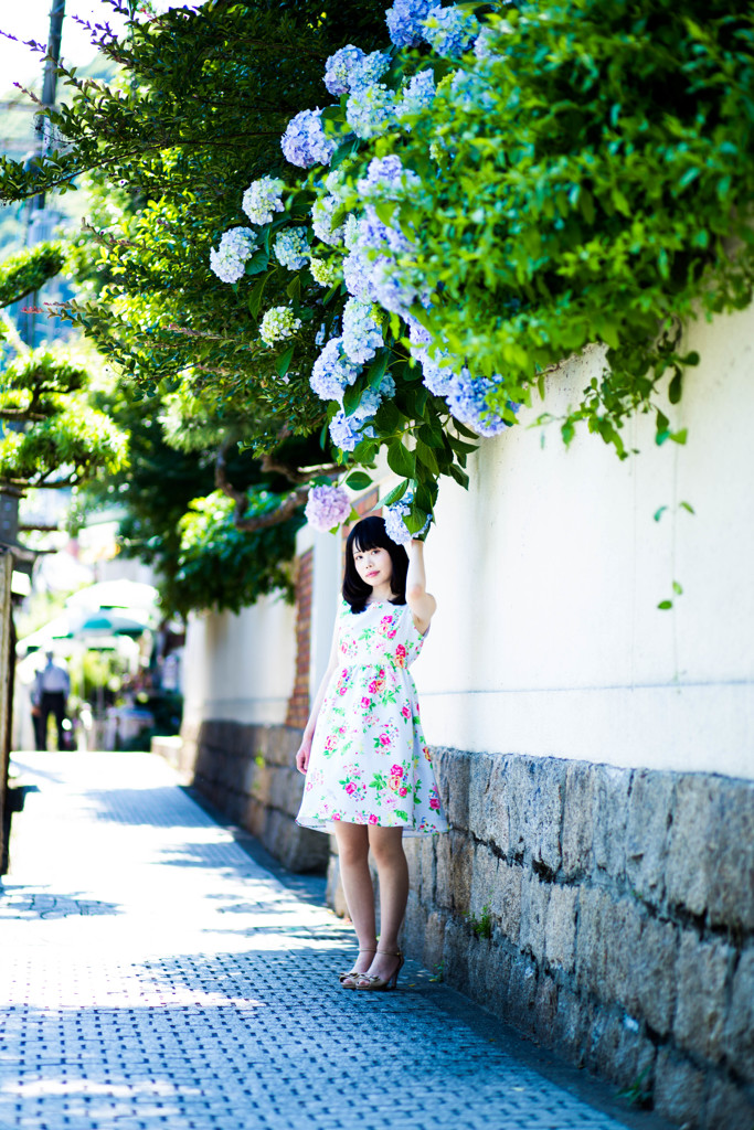 街角の紫陽花