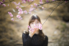 「pink plum」