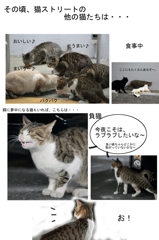 猫物語-2話-P5