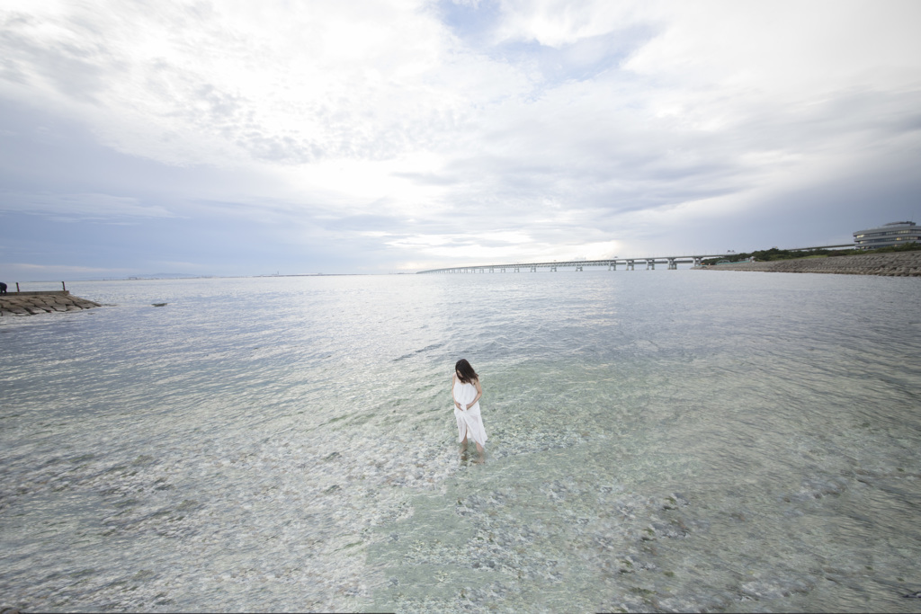 「白い海辺」