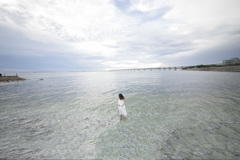 「白い海辺」