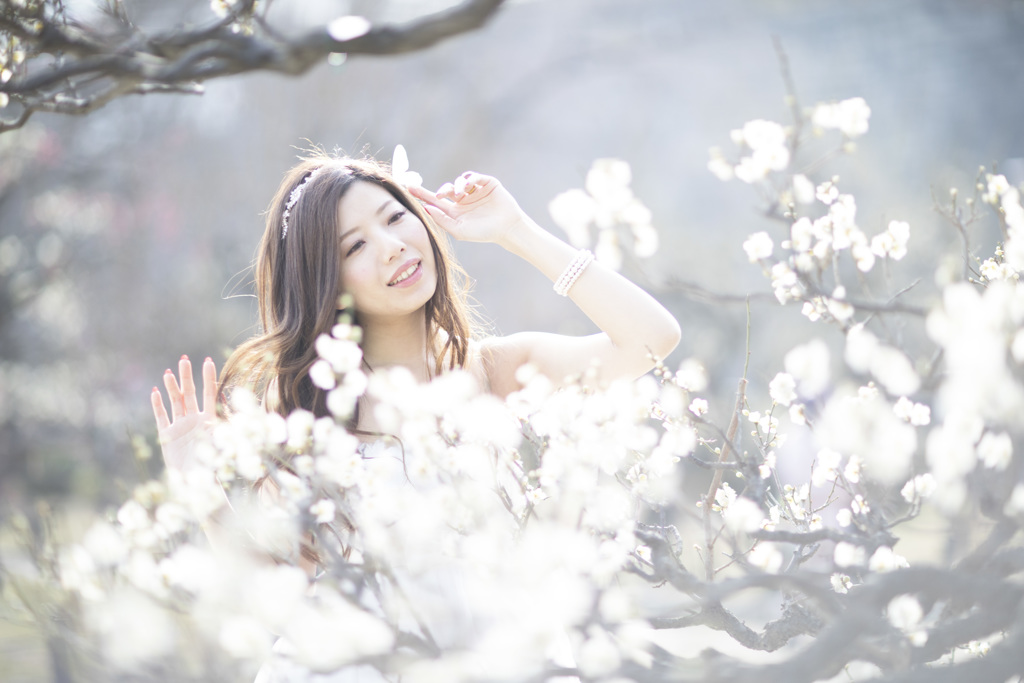 「Plum blossom」