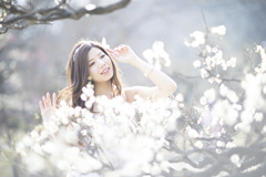 「Plum blossom」