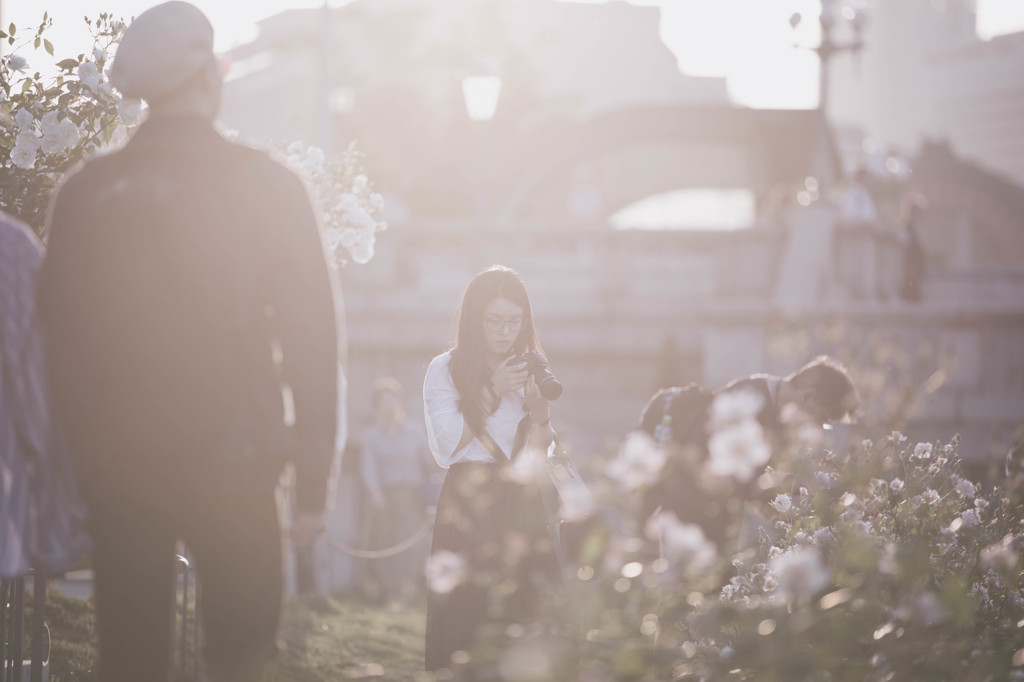 花は輝いている