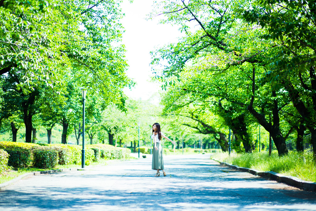「green road 緑の道」～85mmバージョン～