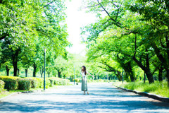 「green road 緑の道」～85mmバージョン～