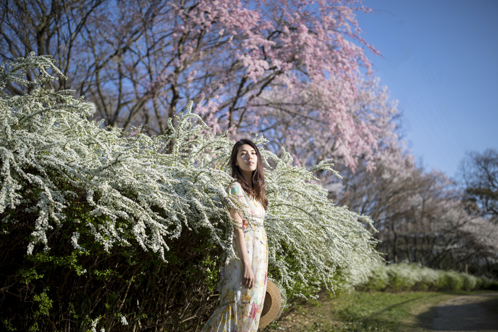 「花の世界」