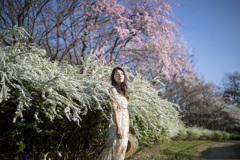 「花の世界」