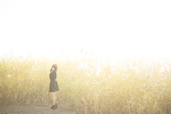 「To in a vision」
