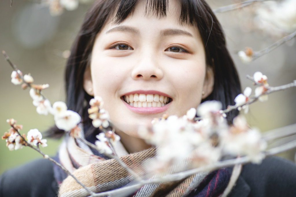 「制服桜」2