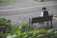 ベンチで読書