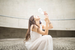 「白い薔薇」
