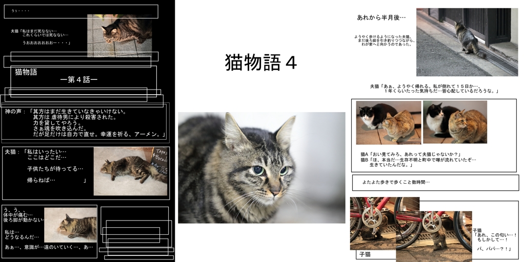 猫物語４話